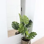 Superb Seaview In Playa De Americas بلايا ذي لاس أميريكاس