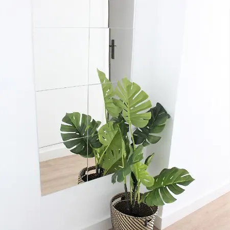 Superb Seaview In Playa De Americas Playa de las Americas (Tenerife)